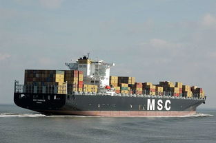 移民搬家与海上国际货运代理 一站式报价与厂家合作指南