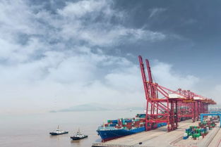 携手诺丁汉卓越灯塔计划，宁诺人工智能实验室启航 赋能国际货物运输代理创新